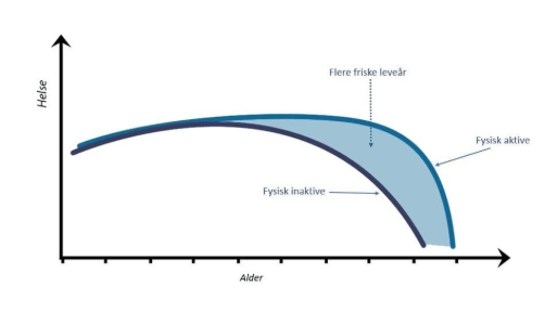 Effekten av trening på fysisk og psykisk helse  